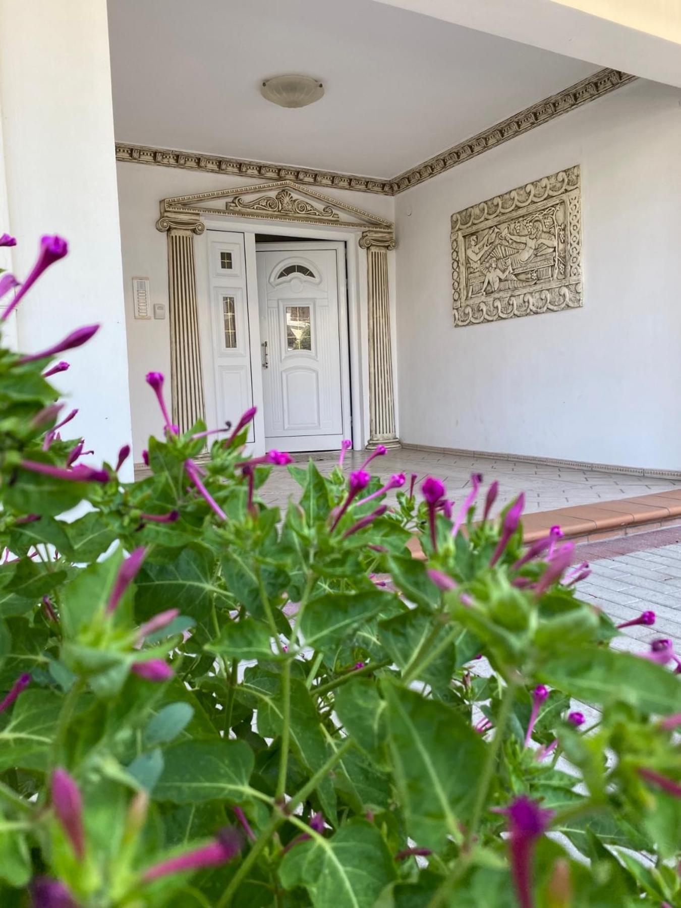 Roula Apartment Neoi Poroi Exterior photo